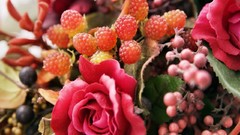 Flowers roses Berries