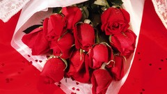 Flowers roses bouquet red rose