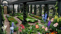 Flowers roses Garden