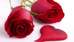 Flowers roses Hearts red flowers