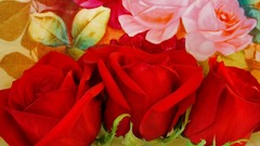 Flowers roses painted red flowers