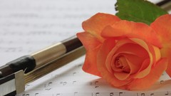 Flowers roses pens musical notes
