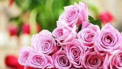 Flowers roses pink flowers