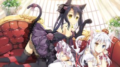 Flowers roses Plants dress Bells white hair gloves Ribbons bows 