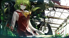 Flowers roses Plants red eyes short hair green hair touhou 