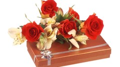 Flowers roses white background red rose