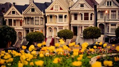 Flowers San Francisco