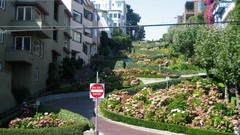 Flowers San Francisco architecture buildings streets cityscapes