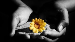 Flowers sand black hands