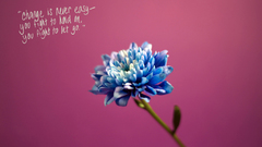 Flowers Simple Background