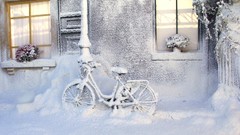 Flowers snow winter windows houses Bicycles