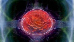 Flowers Space Fractals lights outer space