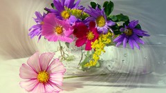 Flowers spiral multicolor