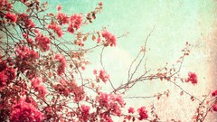 Flowers spring backgrounds antique