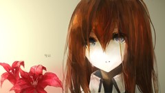 Flowers steins gate makise