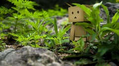 Flowers stones grass danboard yotsubato