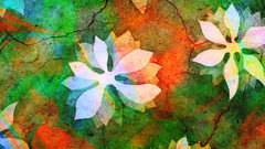 Flowers stones Textures cracks