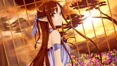 Flowers sun Anime prison elves cage anime girls brunettes hair 
