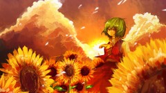 Flowers sun clouds Sunflowers orange red eyes red dress fields 