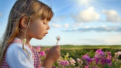 Flowers sun woman fields skyscapes