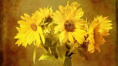 Flowers Sunflowers artwork
