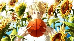 Flowers Sunflowers basketball blondes yellow eyes kuroko no 