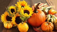Flowers Sunflowers harvest fruits pumpkins cloth squash
