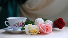 Flowers tea cups