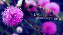 Flowers text love pink flowers mimosa definition