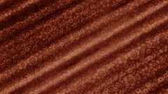 Flowers Textures brown Silk