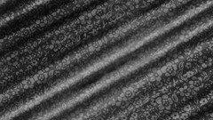 Flowers Textures gray Silk