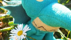 Flowers toys (children)