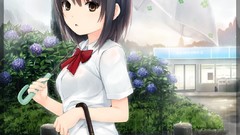 Flowers Trees grass Animals rain cats Plants shop Umbrellas tie 