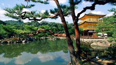 Flowers Trees Japan lakes asian architecture kinkakuji