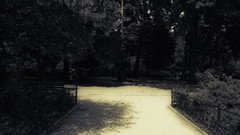 Flowers Trees summer bench bees insects Parks new york city