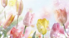 Flowers tulips artwork