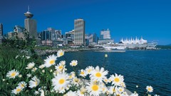 Flowers vancouver architecture buildings cityscapes