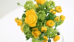 Flowers vases yellow flowers