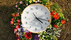 Flowers watch man-made