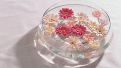 Flowers water Candles