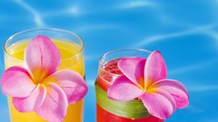 Flowers water drinks plumeria