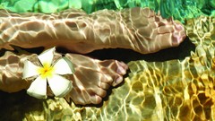 Flowers water feet woman sunlight plumeria