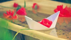 Flowers water paper boat blurred background red flowers 