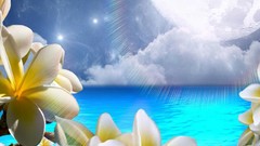 Flowers water sun plumeria