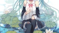 Flowers water Water Lilies Ribbons sitting shirts outdoors 