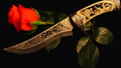 Flowers weapons Knives roses