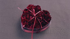 Flowers white award Gifts reward wrapping present Trophy PRIZE 