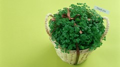 Flowers white award Gifts reward wrapping present Trophy PRIZE 