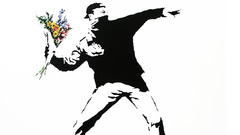 Flowers white background