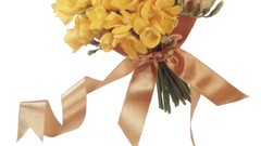 Flowers white background